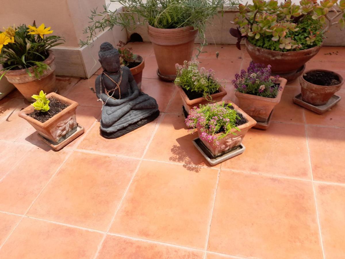 Apartment Sea View Penthouse With Beautiful Terrace - Casa Verdi Jayanti
