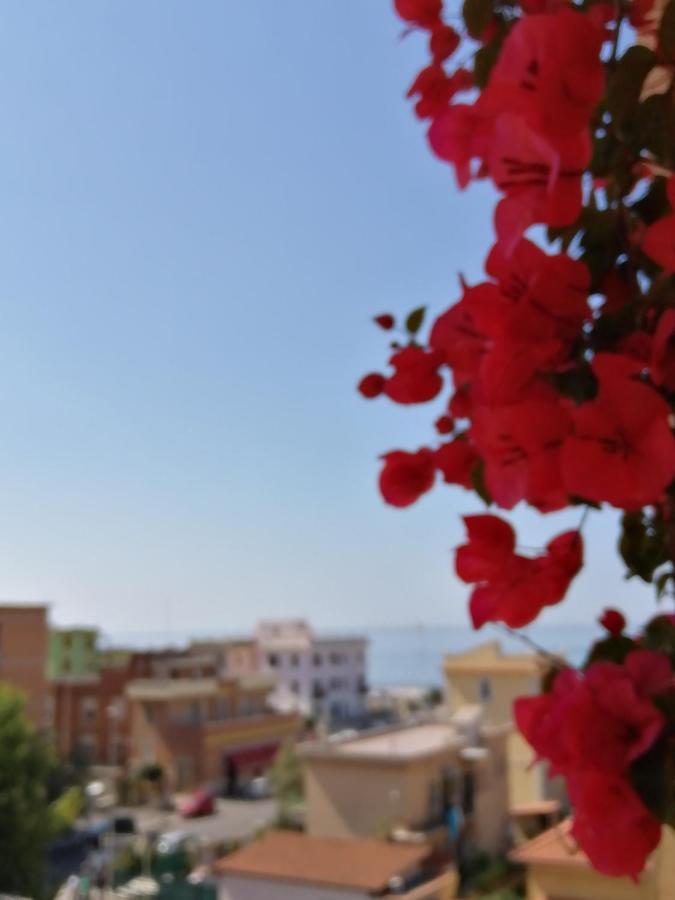Sea View Penthouse With Beautiful Terrace - Casa Verdi Jayanti Apartment