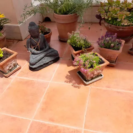 Sea View Penthouse With Beautiful Terrace - Casa Verdi Jayanti Lido di Ostia Exterior photo